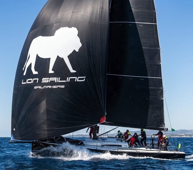 Lion Sailing sail with the white lion