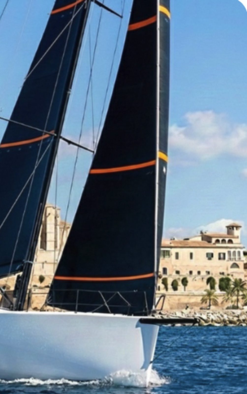 Lion Sailing jib